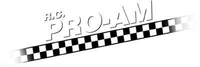 NES logo